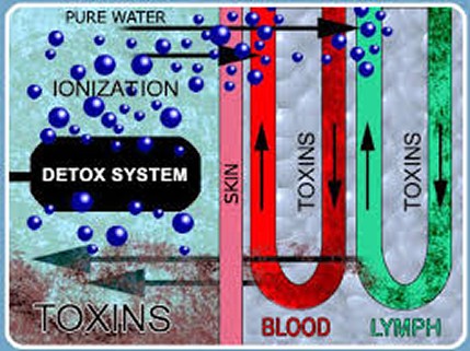 Detoxification System