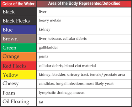 Detoxification Chart